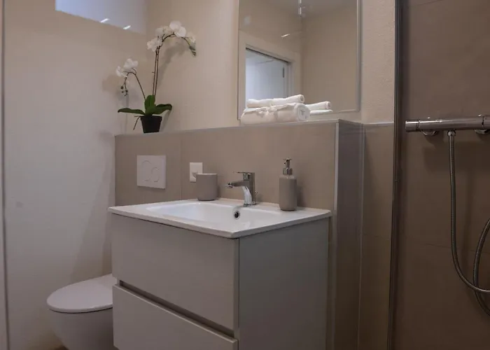 Apartament Golden Harmony In Oerlikon