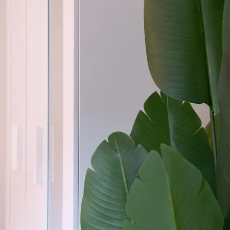 Apartmán Golden Harmony In Oerlikon *