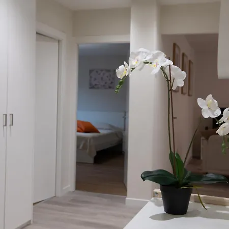 Apartament Golden Harmony In Oerlikon Zurych