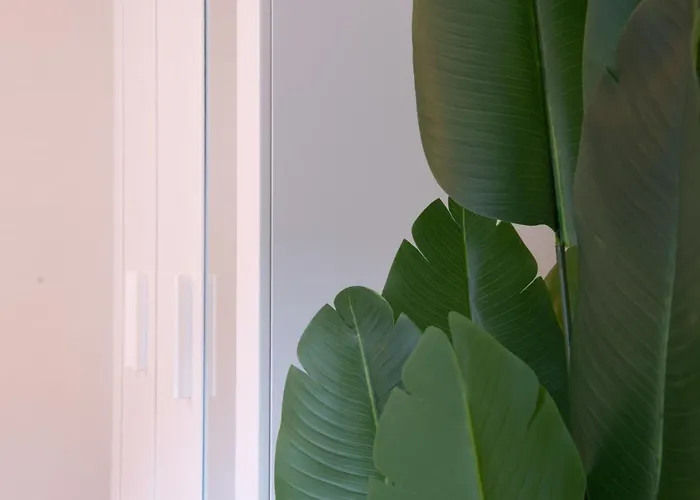 Apartmán Golden Harmony In Oerlikon *