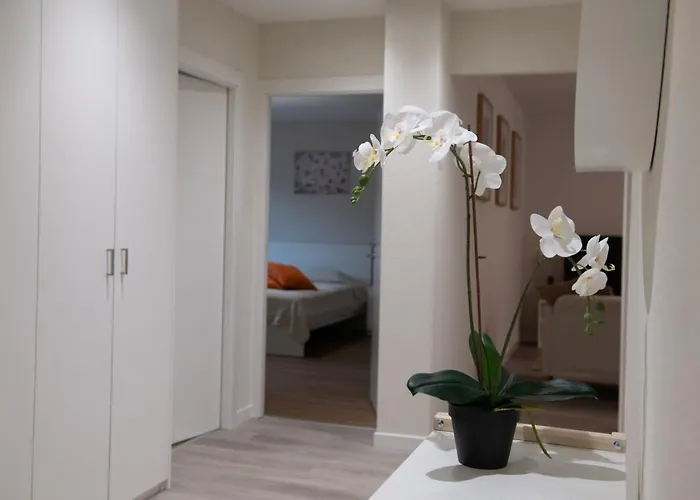 Apartmán Golden Harmony In Oerlikon Curych